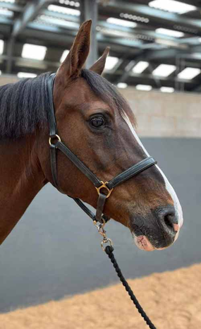 Headshot of Amber Dream (Jean)