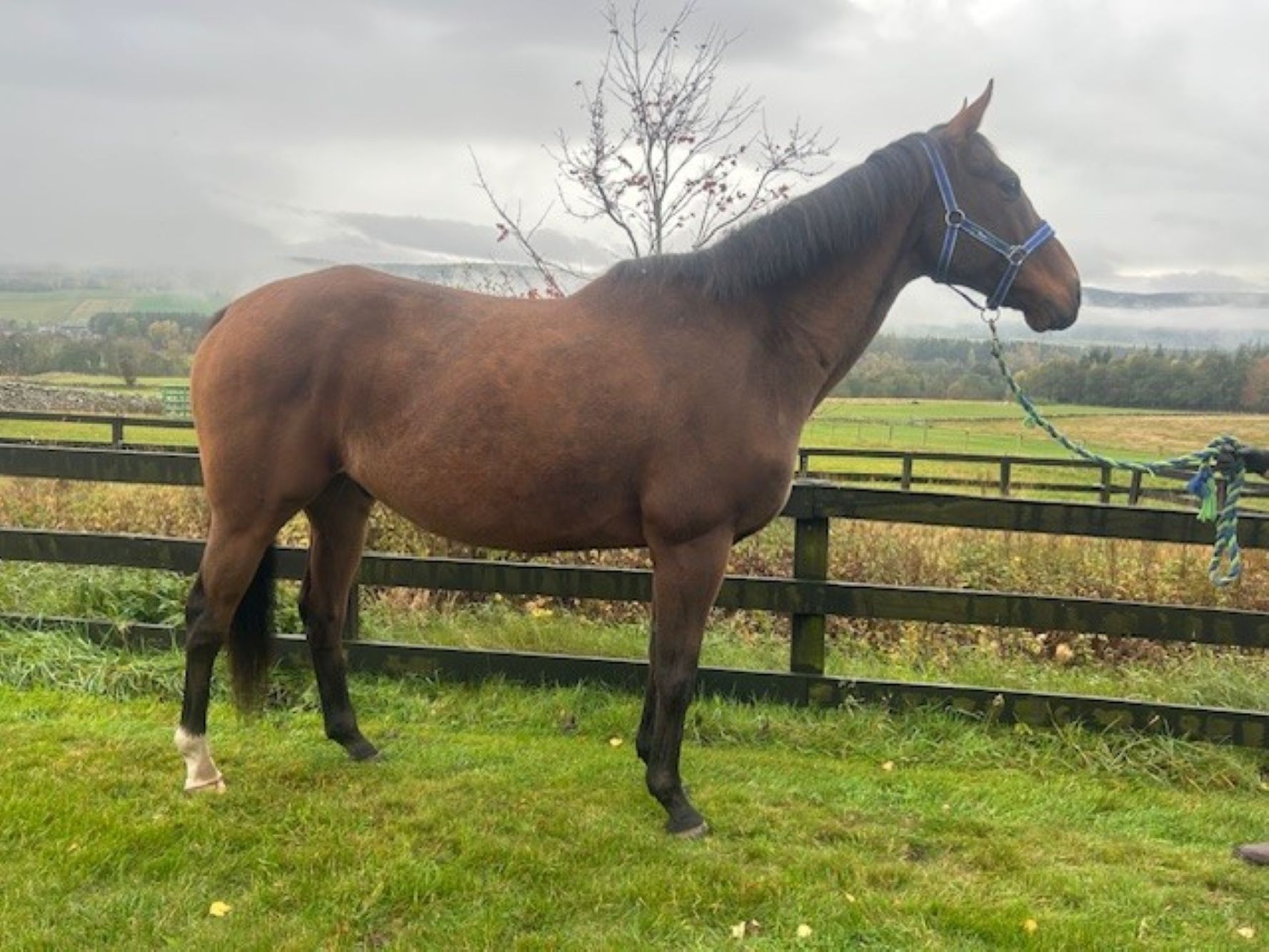 photo of Get Wishing (Gary)