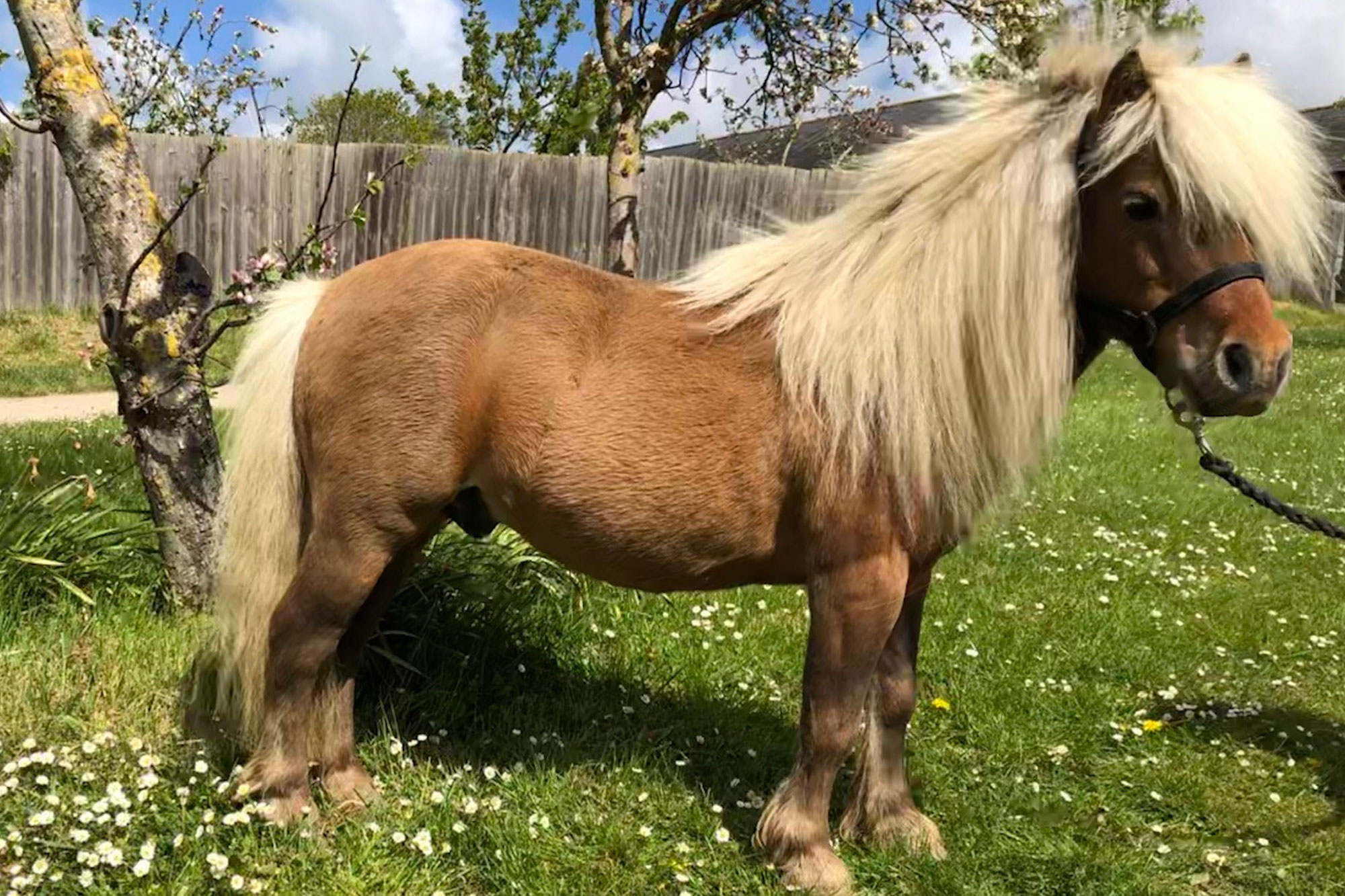 photo of Exclusively Sunday Morning (Sunny)