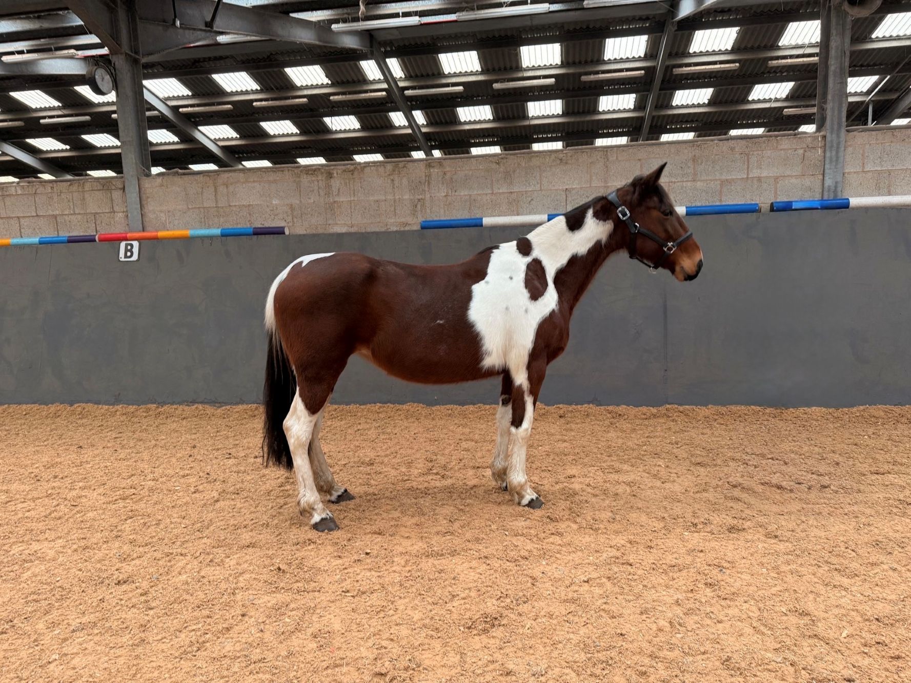 photo of DC Wild Girl (14) (Jean)