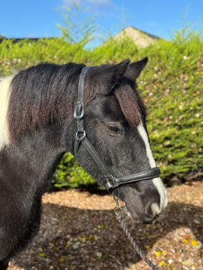 Headshot of Holders Pearl