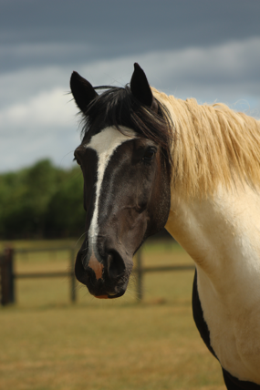 Headshot of Max