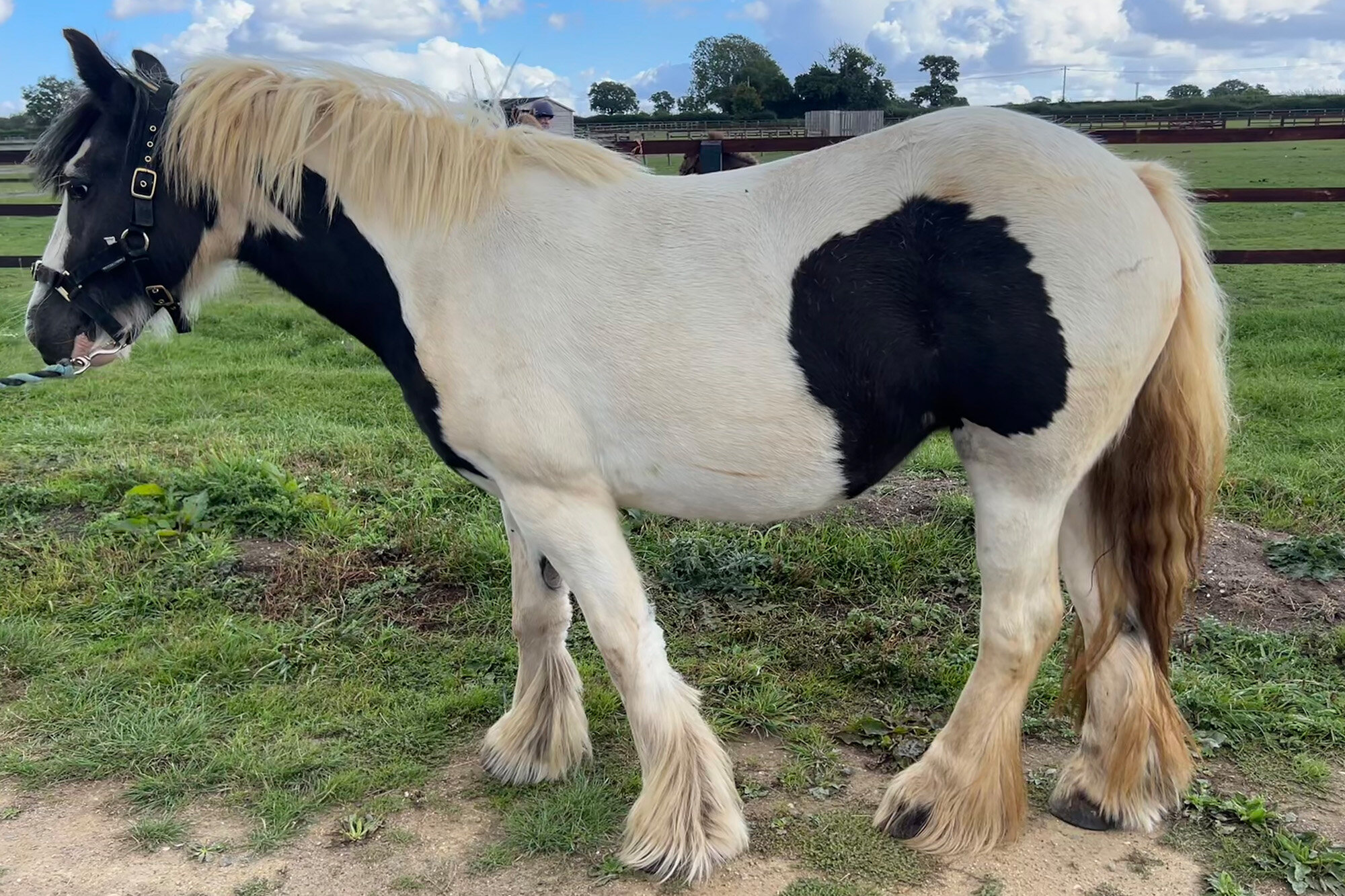 Additional image of Nova