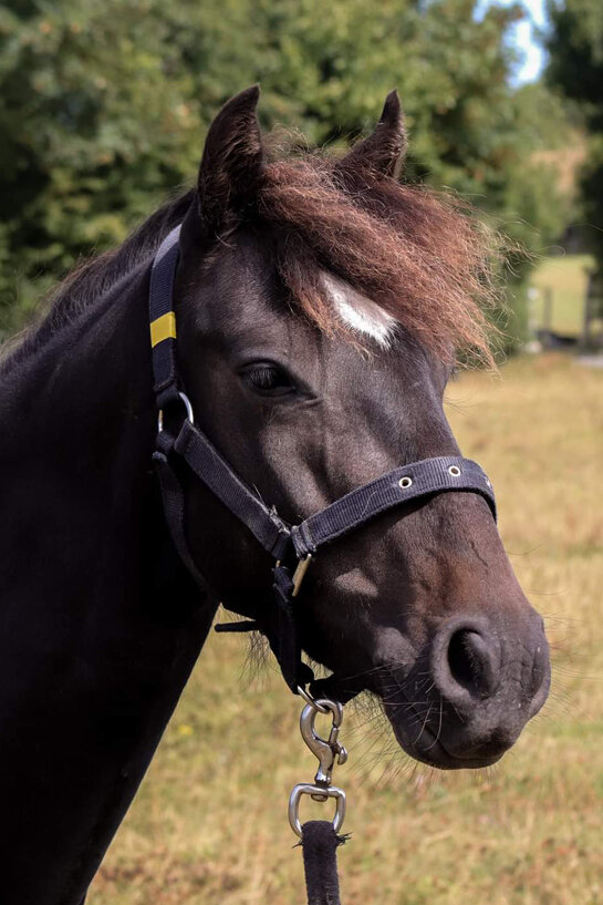 Headshot of Jimmy