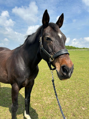 Headshot of Carvalla