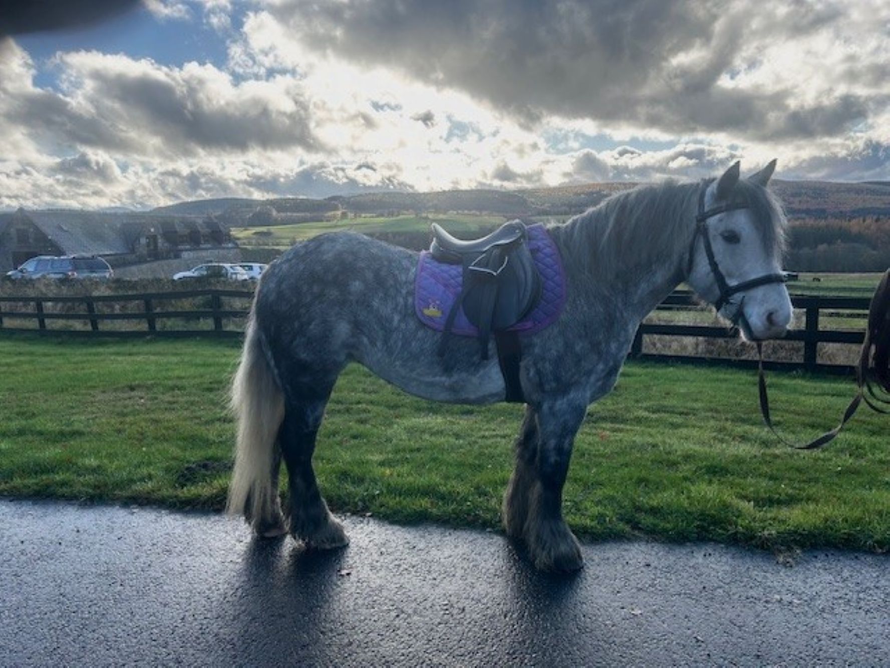 Additional image of Groot