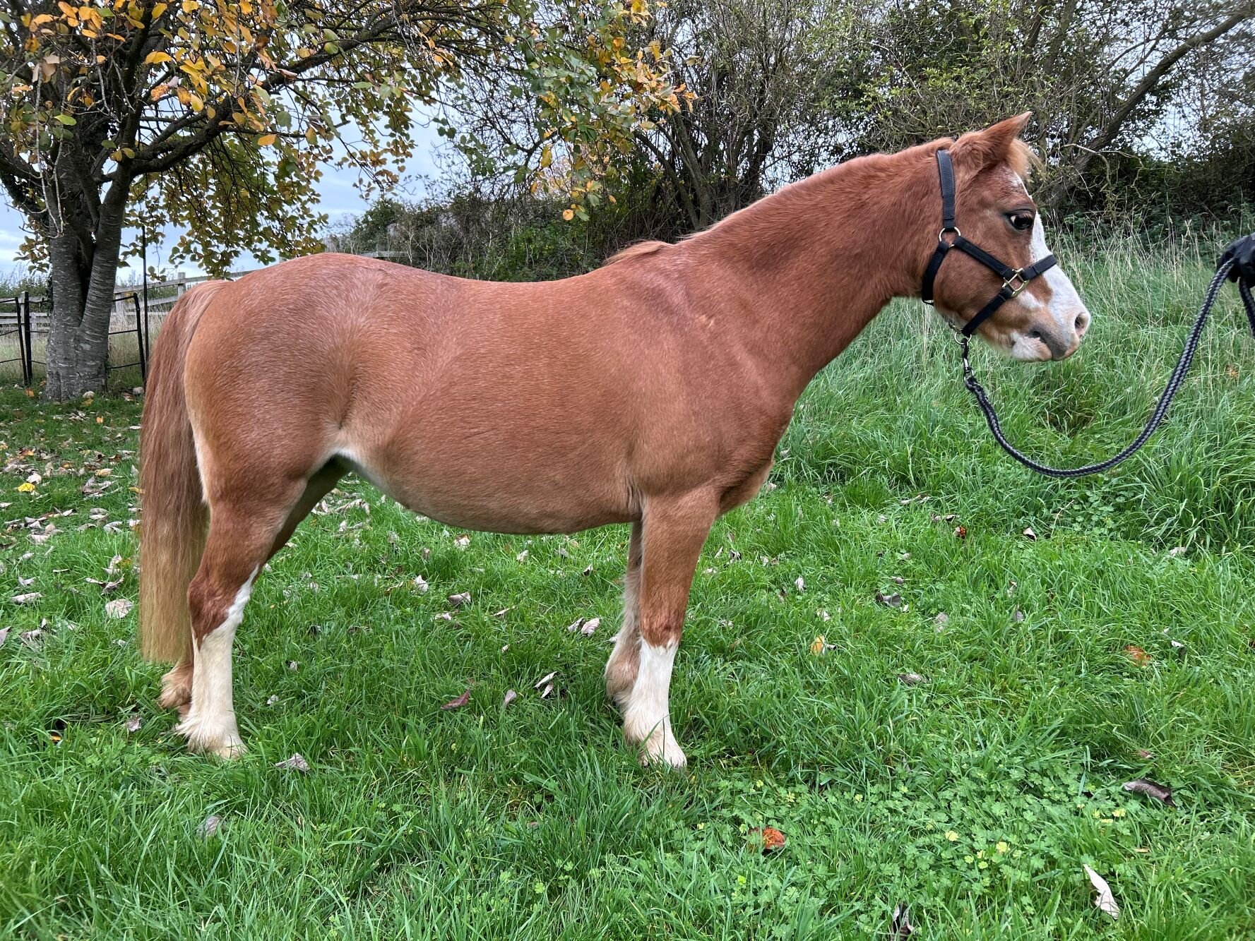 Additional image of Jane