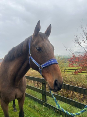 Headshot of Get Wishing (Gary)