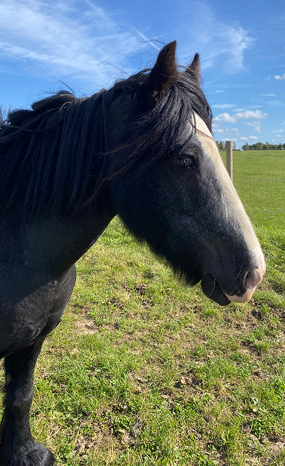 Headshot of Ruby May (Liquorice)