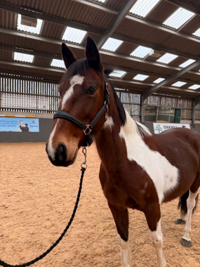 Headshot of DC Wild Girl (14) (Jean)