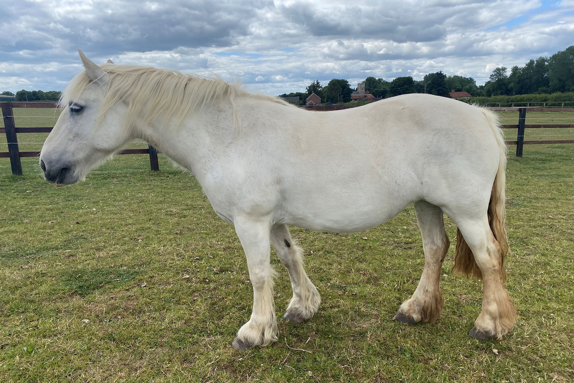 Additional image of Lady