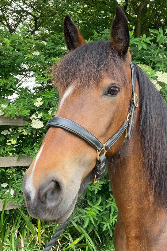 Headshot of Chelsea