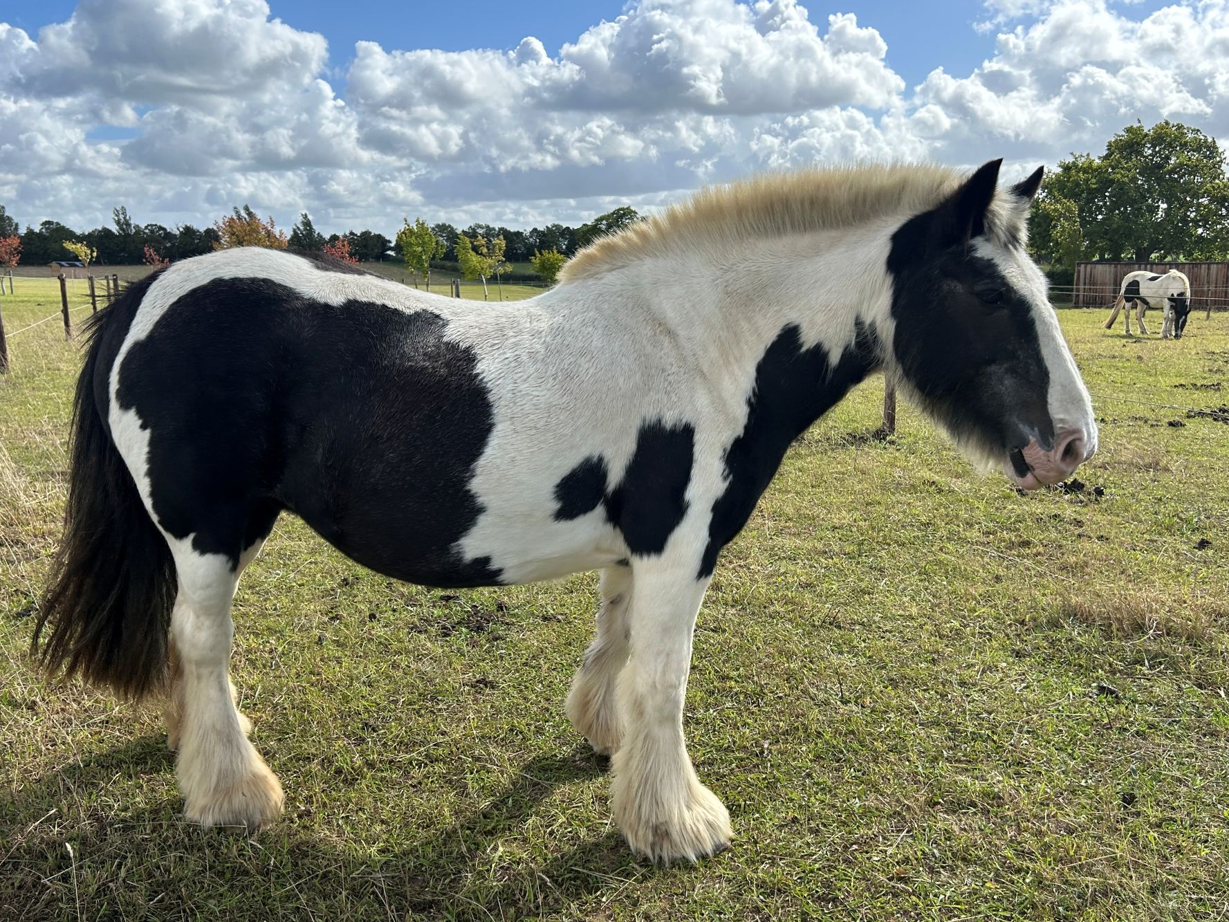 photo of Meggy