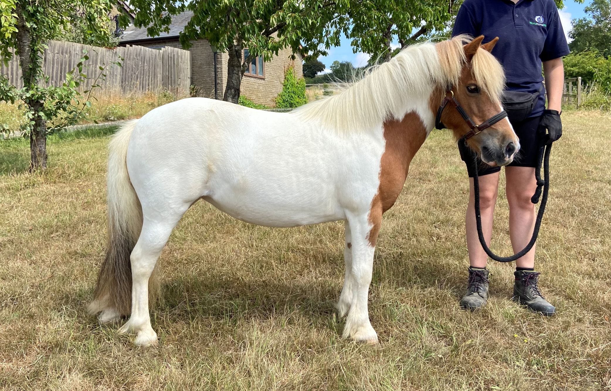 Additional image of Pixie (Thumbelina)