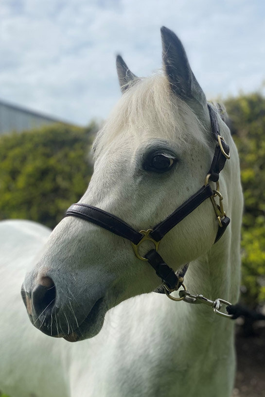 Headshot of Annie