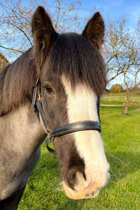 Headshot of Nasher