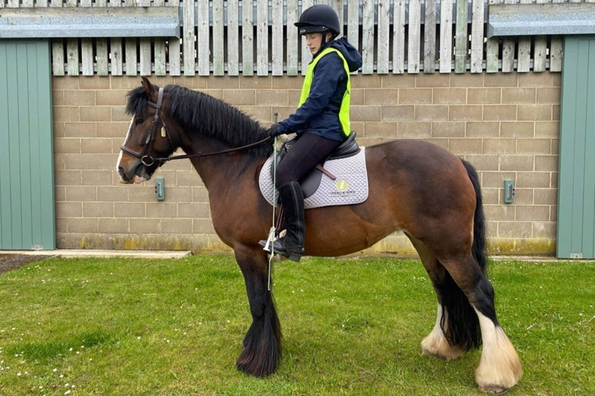 World Horse Welfare