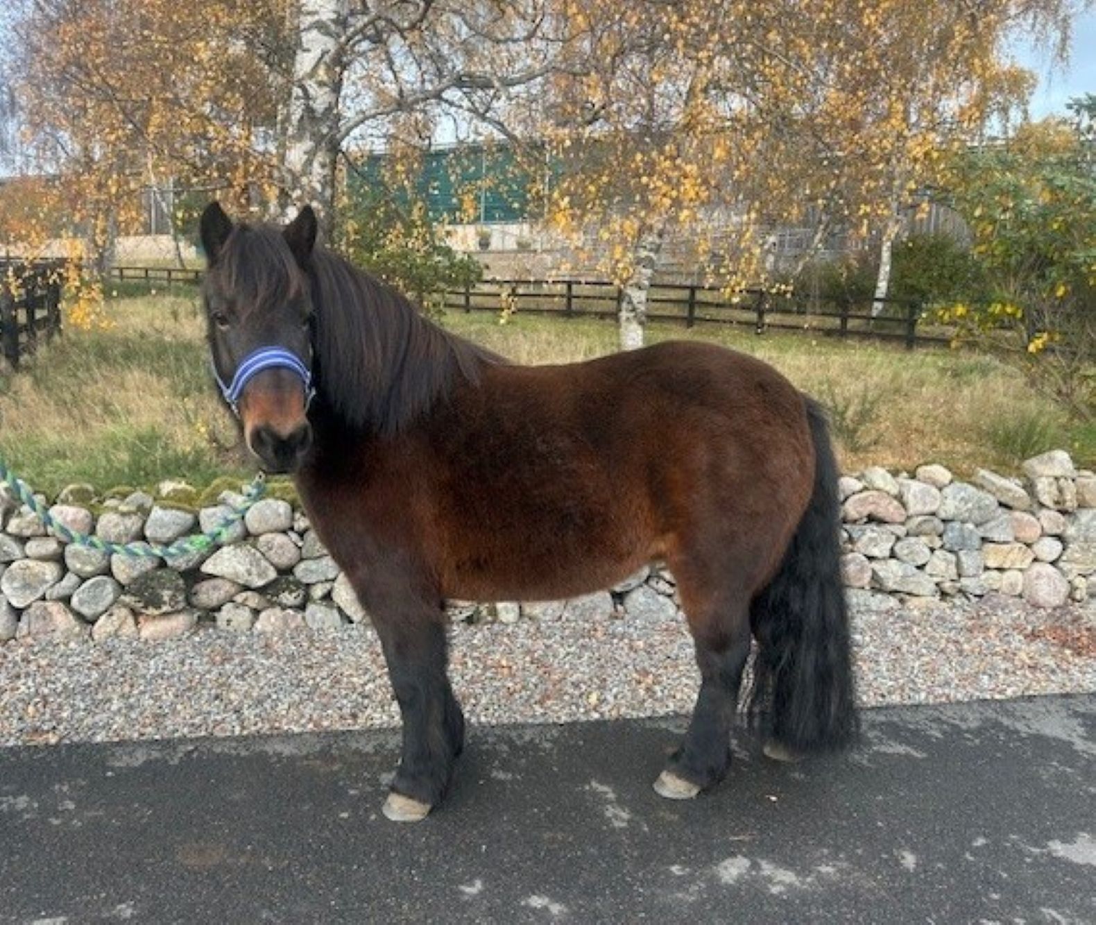 Additional image of Highsee