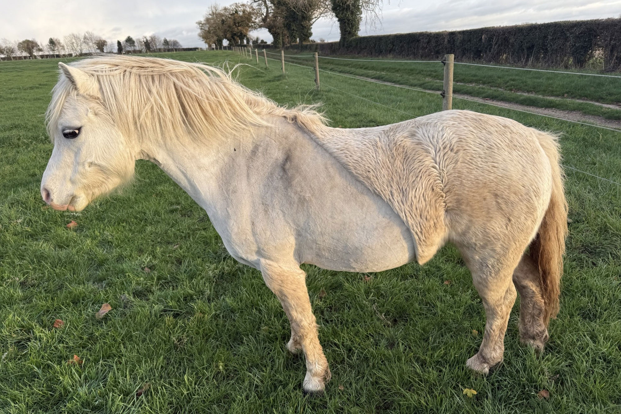 Additional image of Eenie