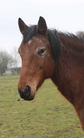 Headshot of Pascala