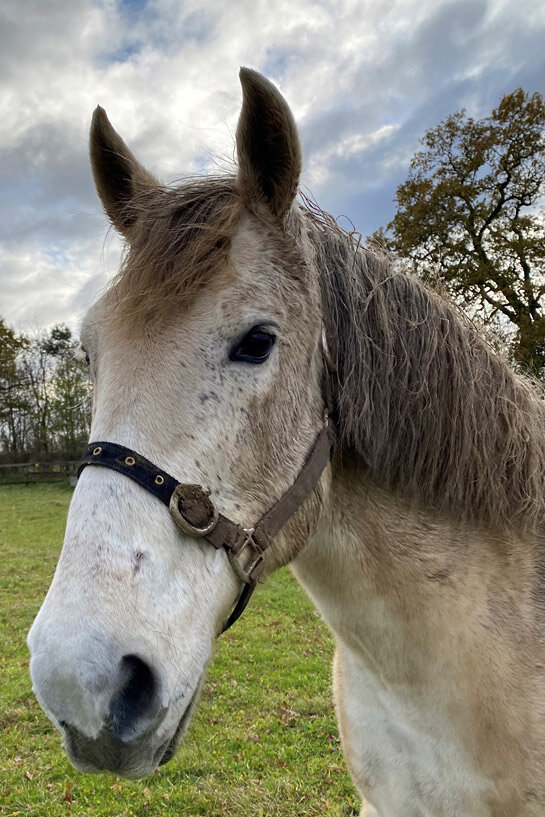 Headshot of Olimpo (Andy)