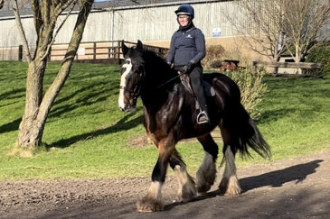 Farholme Prince Harry