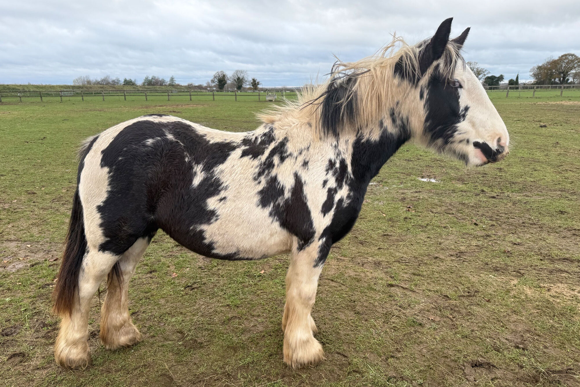 Additional image of Matilda