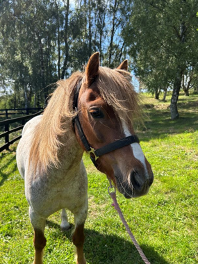 Headshot of Timmy