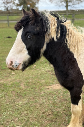 Headshot of Penelope