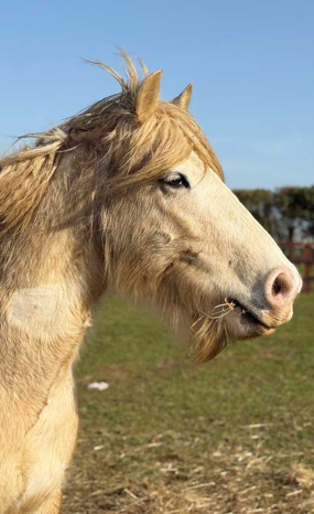 Headshot of Edgar