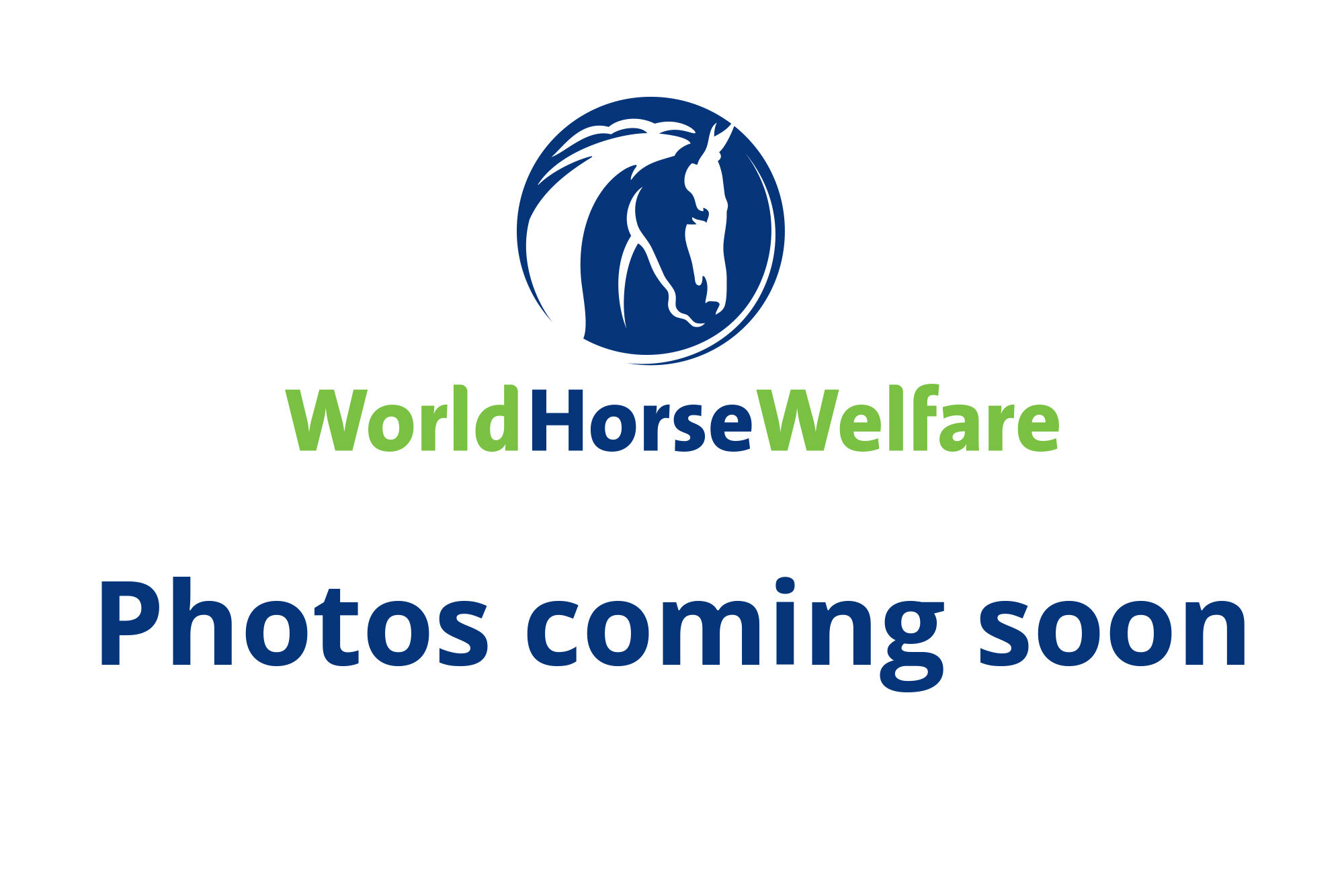 Additional image of Thelma