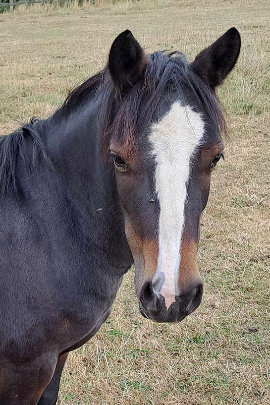 Headshot of Ruby