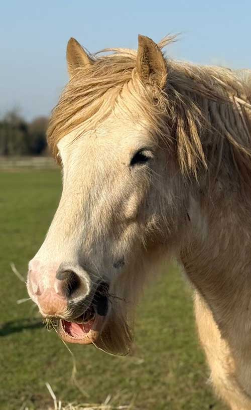 Additional image of Edgar