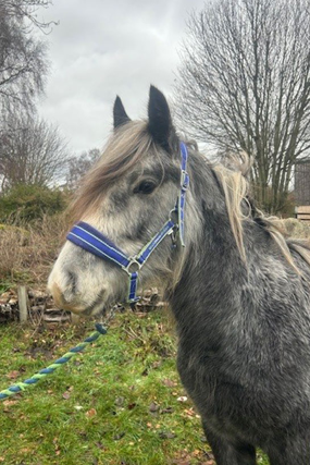 Headshot of Theodore