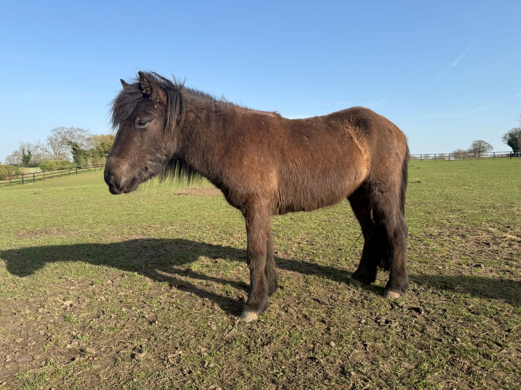 Additional image of Rurik