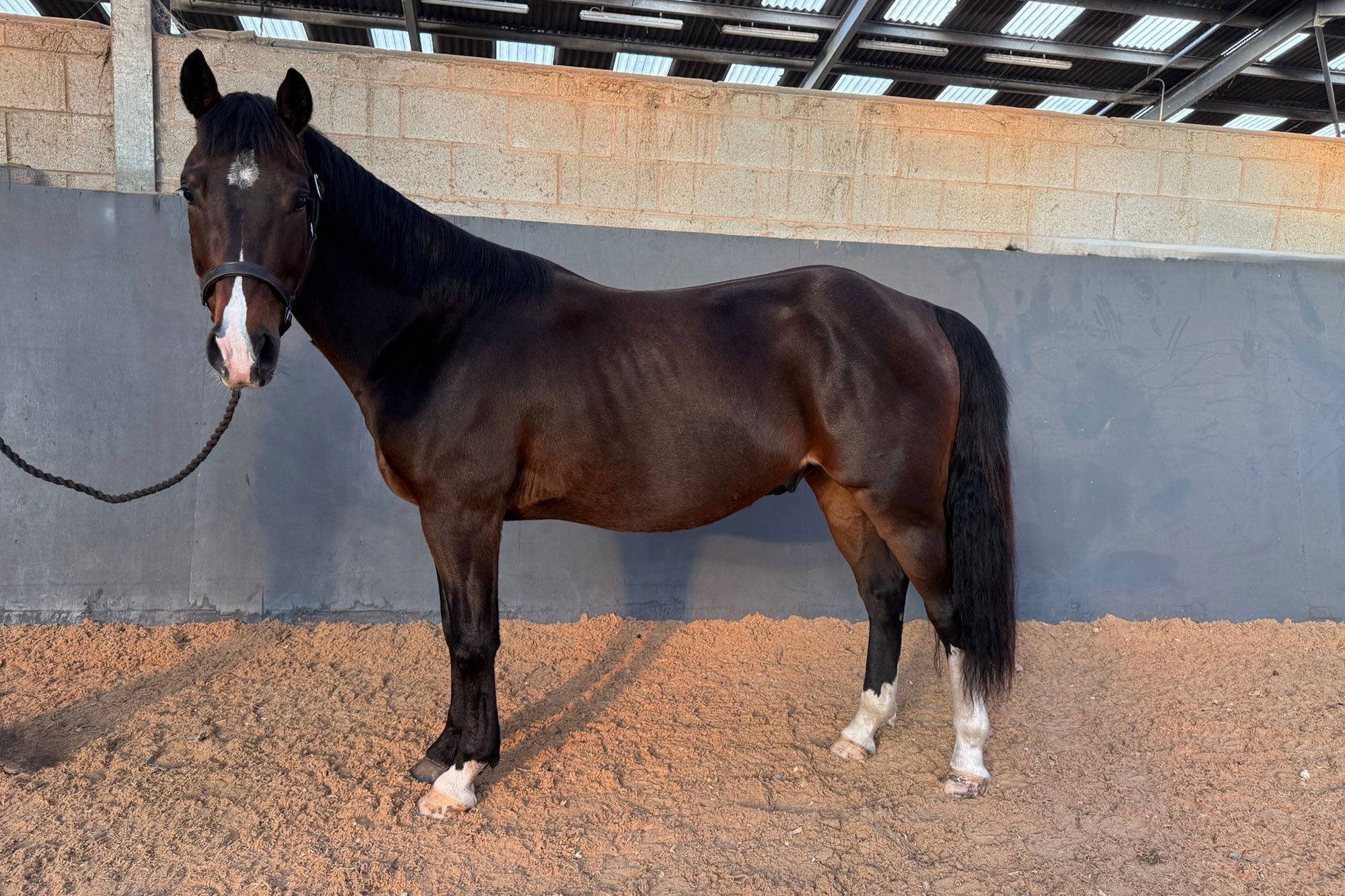 Additional image of Barolo (Barry)