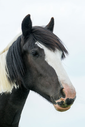 Headshot of Kinder