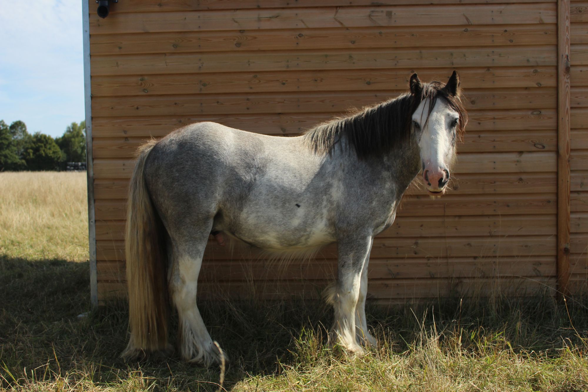 photo of Bentley