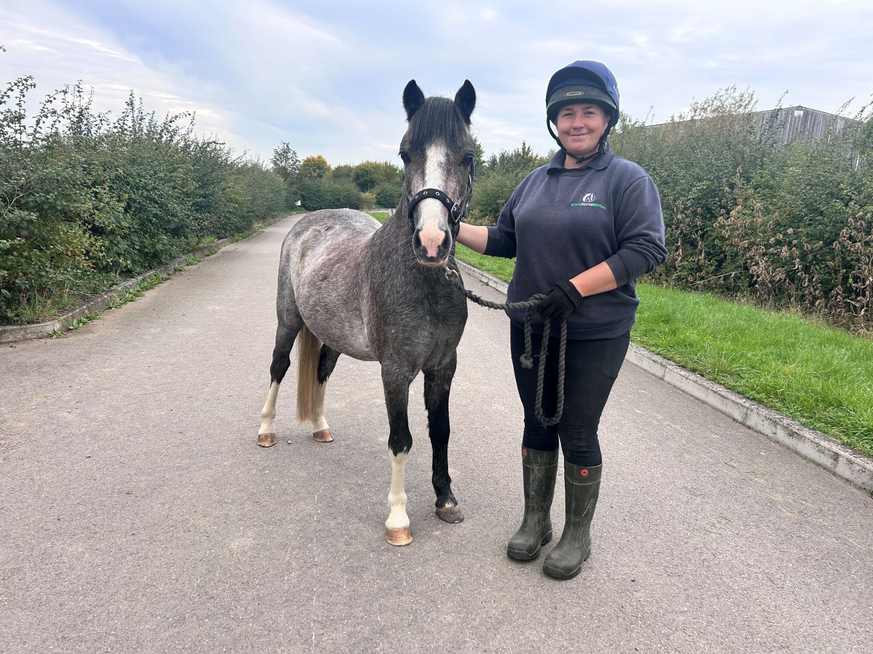 Additional image of Stig