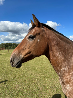 Headshot of Pascala