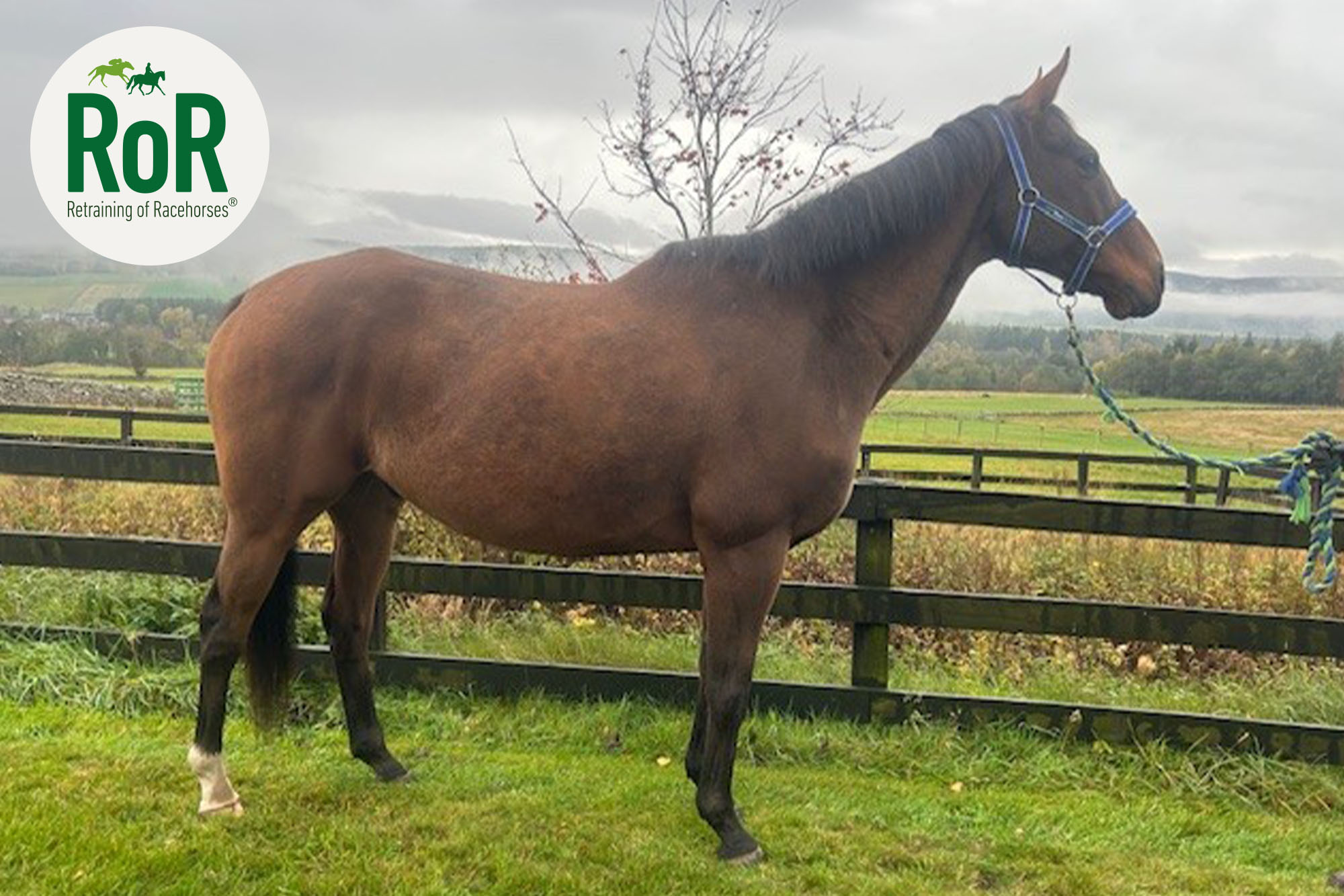 photo of Get Wishing (Gary)