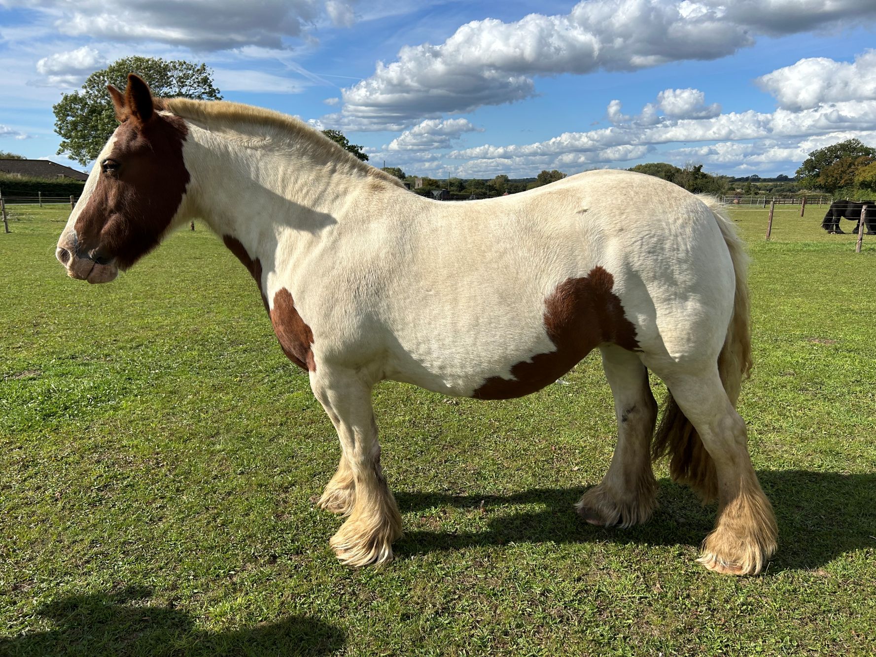 Additional image of Choc
