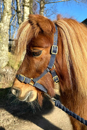 Headshot of Loutin Alice (Bubbles)