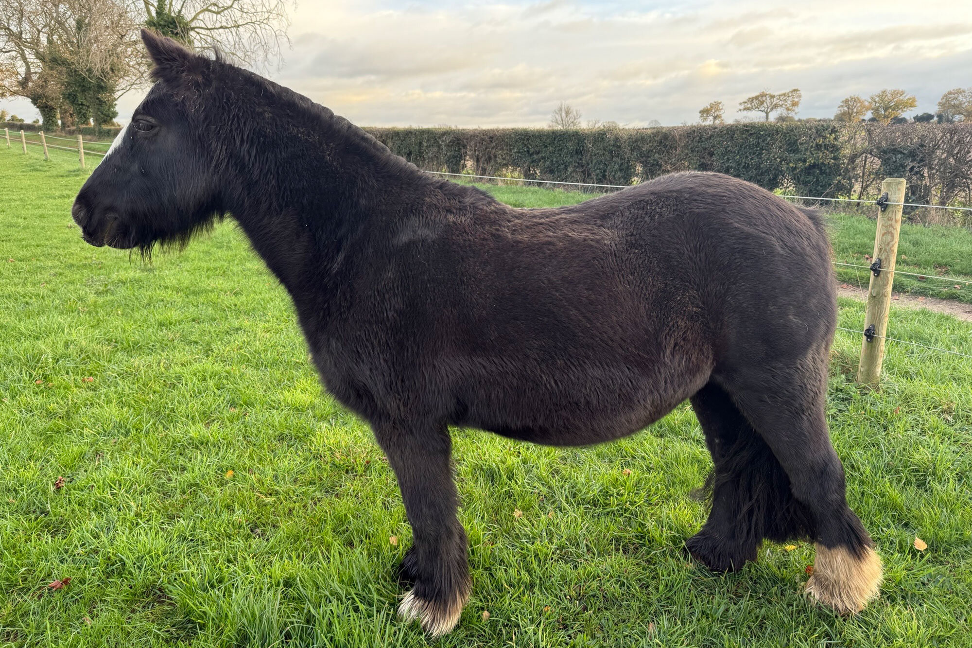 Additional image of Sprint