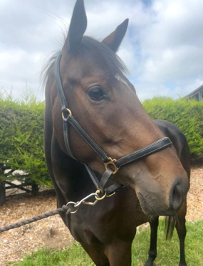 Headshot of Sadie (Edna)