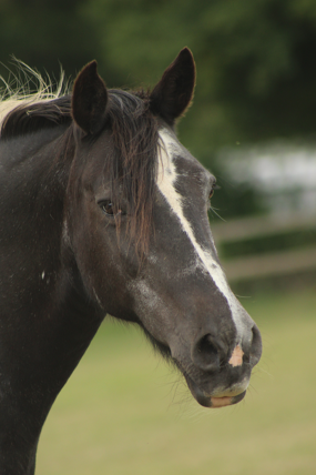Headshot of Dolly